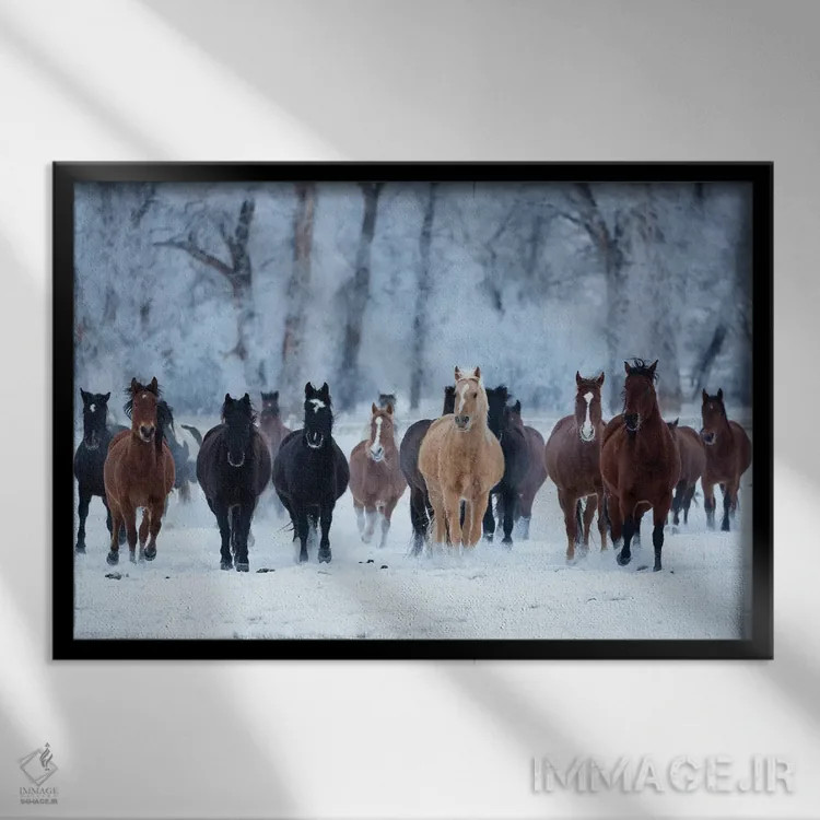 تابلو دکوراتیو Wyoming, Shell, Horses in the Cold,آمریکا، وایومینگ، شل، اسب… اثر هولیس لونی - نمای قابدار مشکی