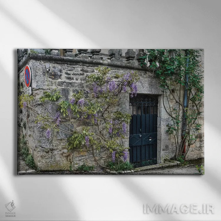 تابلو دکوراتیو Cajarc, France,دیوار سنگی و ورودی پوشیده از ویستریا، کژارک… اثر هولیس لونی - نمای روبهرو روی دیوار