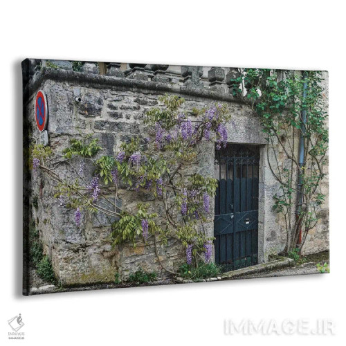 تابلو دکوراتیو Cajarc, France,دیوار سنگی و ورودی پوشیده از ویستریا، کژارک… اثر هولیس لونی - نمای پرسپکتیو محصول