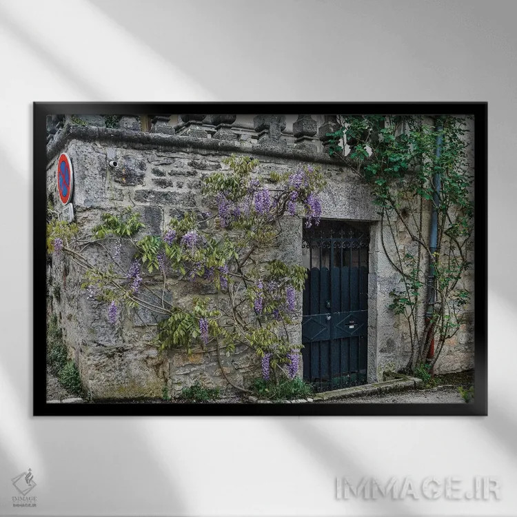 تابلو دکوراتیو Cajarc, France,دیوار سنگی و ورودی پوشیده از ویستریا، کژارک… اثر هولیس لونی - نمای قابدار مشکی