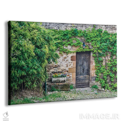 تابلو دکوراتیو Cordes-sur-Ciel, France,در چوبی در دیوار سنگی پوشیده از پیچک… اثر هولیس لونی - نمای پرسپکتیو محصول