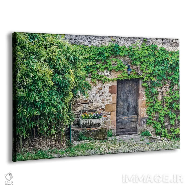 تابلو دکوراتیو Cordes-sur-Ciel, France,در چوبی در دیوار سنگی پوشیده از پیچک… اثر هولیس لونی - نمای پرسپکتیو محصول