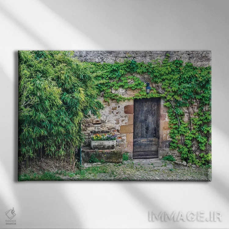 تابلو دکوراتیو Cordes-sur-Ciel, France,در چوبی در دیوار سنگی پوشیده از پیچک… اثر هولیس لونی - نمای روبهرو روی دیوار