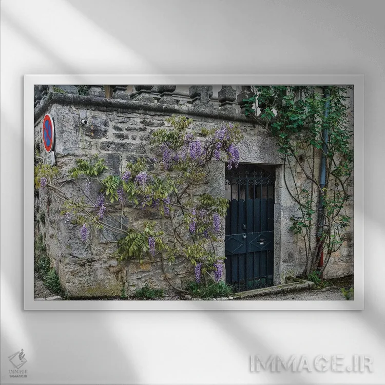 تابلو دکوراتیو Cajarc, France,دیوار سنگی و ورودی پوشیده از ویستریا، کژارک… اثر هولیس لونی - نمای قابدار سفید