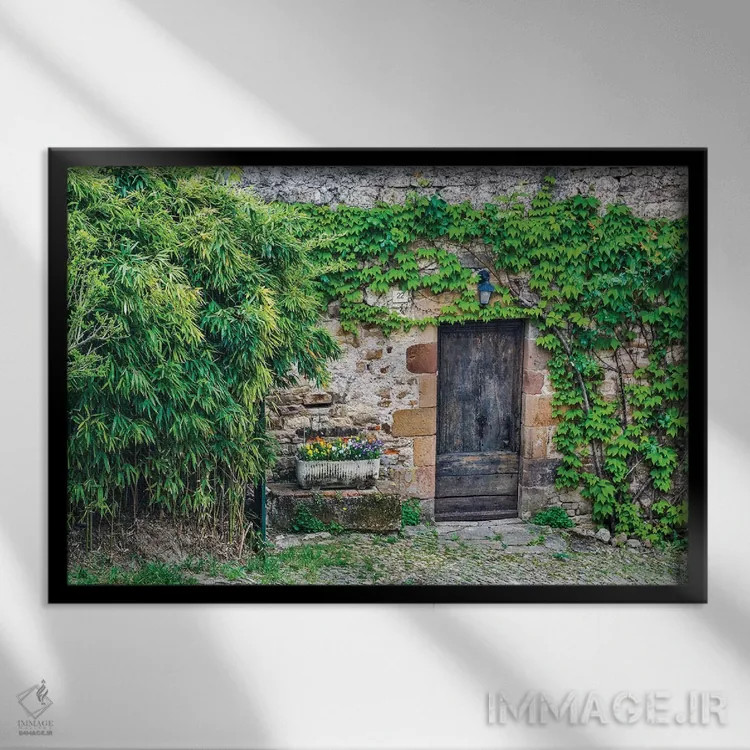 تابلو دکوراتیو Cordes-sur-Ciel, France,در چوبی در دیوار سنگی پوشیده از پیچک… اثر هولیس لونی - نمای قابدار مشکی
