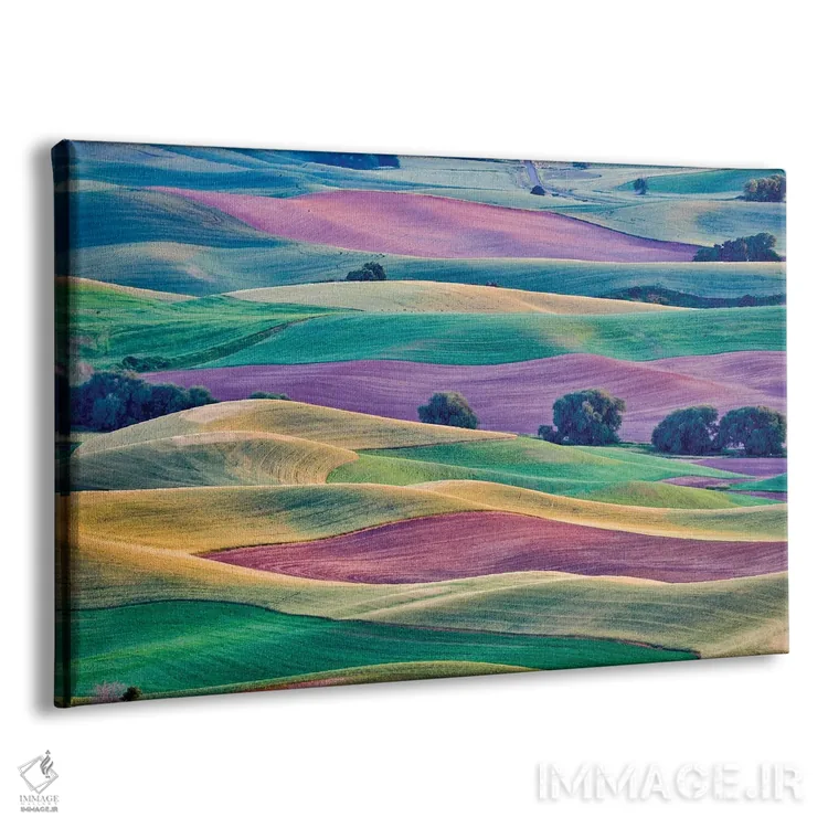تابلو دکوراتیو Palouse, Washington, USA,چشم انداز از استپتو بیوت II، پلوز… اثر هولیس لونی - نمای پرسپکتیو محصول