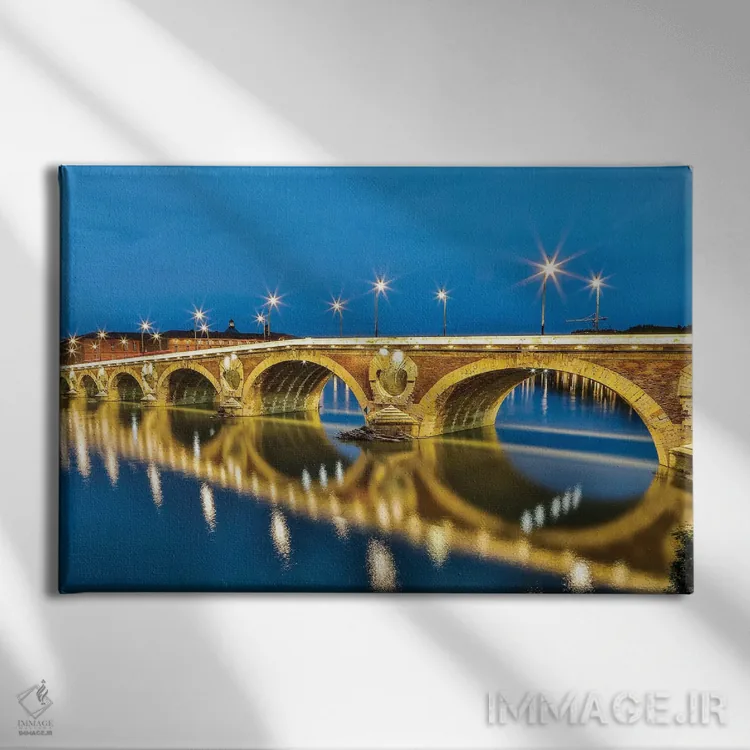 تابلو دکوراتیو Toulouse. View of Pont Neuf and the Garonne River and reflec… اثر هولیس لونی - نمای روبهرو روی دیوار