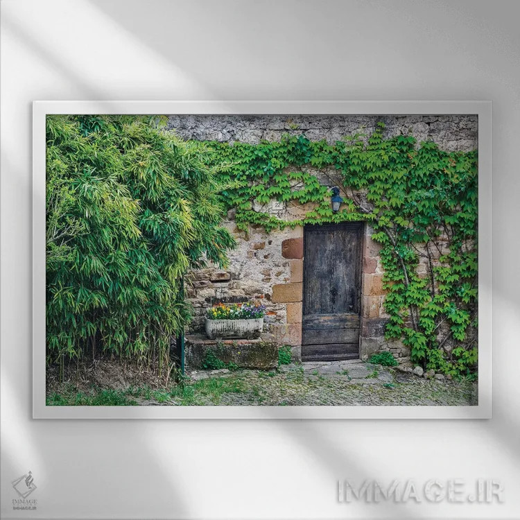 تابلو دکوراتیو Cordes-sur-Ciel, France,در چوبی در دیوار سنگی پوشیده از پیچک… اثر هولیس لونی - نمای قابدار سفید