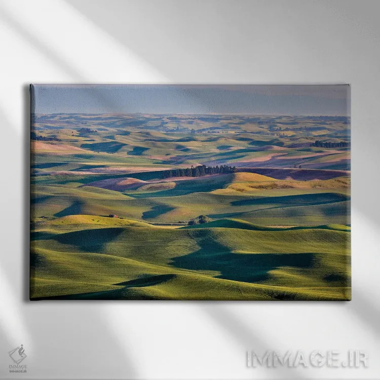 تابلو دکوراتیو Palouse, Washington, USA,چشم انداز از استپتو بیوت I، پلوز، و… اثر هولیس لونی - نمای روبهرو روی دیوار