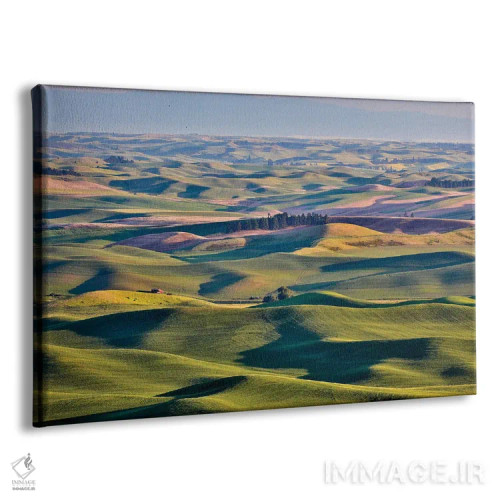 تابلو دکوراتیو Palouse, Washington, USA,چشم انداز از استپتو بیوت I، پلوز، و… اثر هولیس لونی - نمای پرسپکتیو محصول