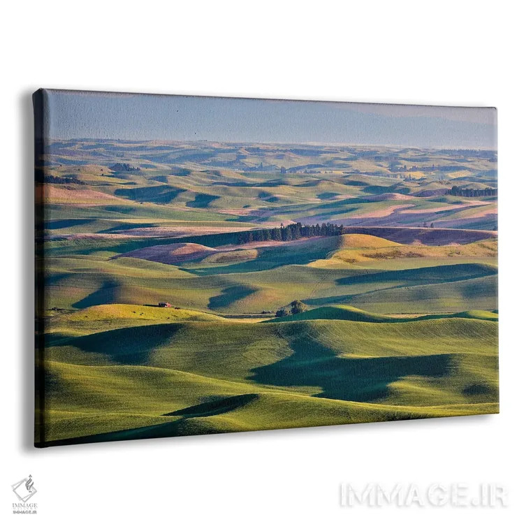 تابلو دکوراتیو Palouse, Washington, USA,چشم انداز از استپتو بیوت I، پلوز، و… اثر هولیس لونی - نمای پرسپکتیو محصول
