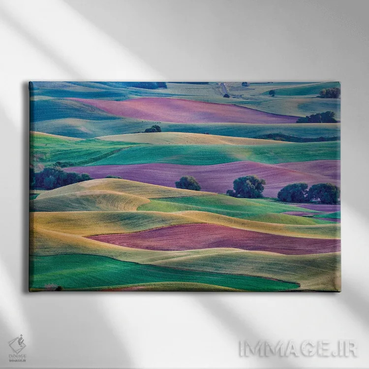 تابلو دکوراتیو Palouse, Washington, USA,چشم انداز از استپتو بیوت II، پلوز… اثر هولیس لونی - نمای روبهرو روی دیوار