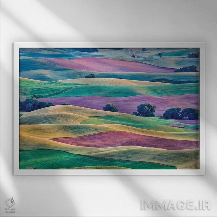 تابلو دکوراتیو Palouse, Washington, USA,چشم انداز از استپتو بیوت II، پلوز… اثر هولیس لونی - نمای قابدار سفید