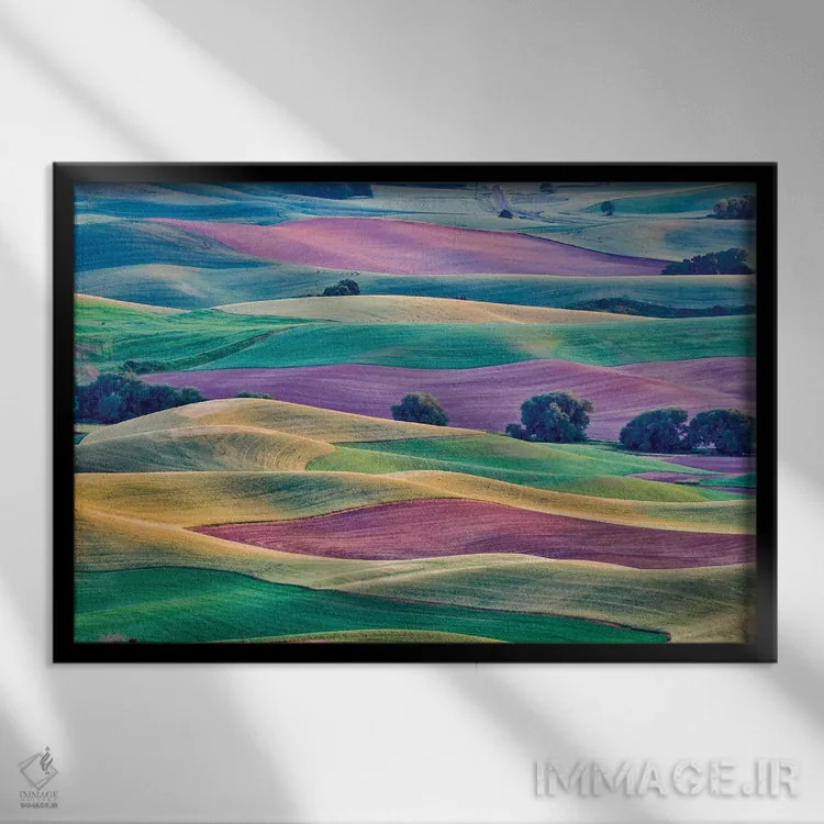 تابلو دکوراتیو Palouse, Washington, USA,چشم انداز از استپتو بیوت II، پلوز… اثر هولیس لونی - نمای قابدار مشکی