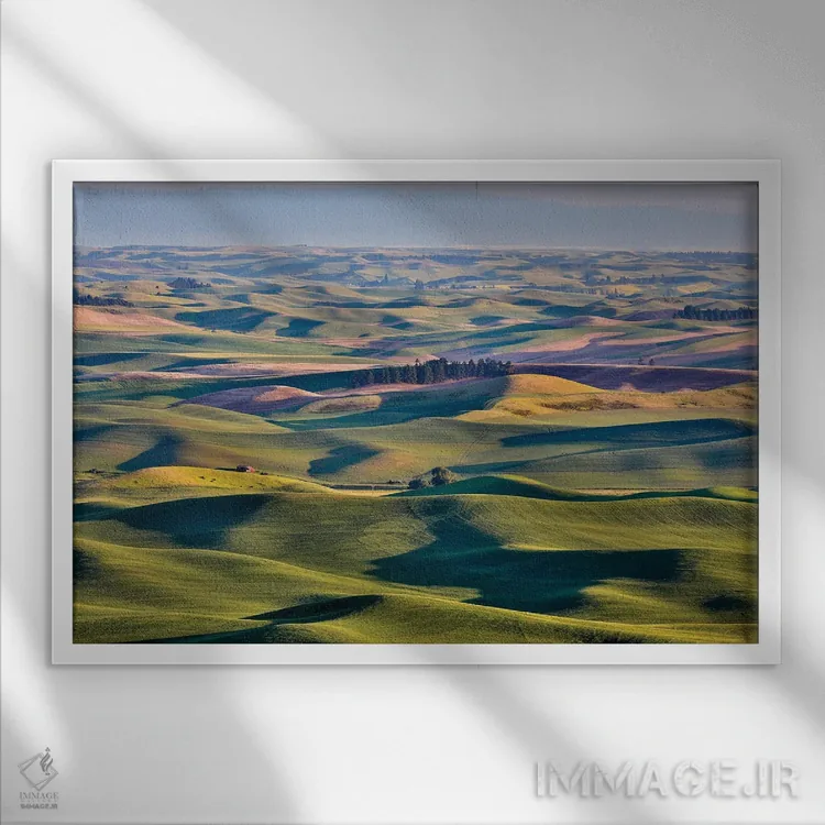 تابلو دکوراتیو Palouse, Washington, USA,چشم انداز از استپتو بیوت I، پلوز، و… اثر هولیس لونی - نمای قابدار سفید