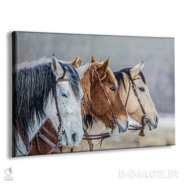 تابلو دکوراتیو Wyoming Hideout Horse Ranch, Horses In A Row,آمریکا، وایومین… اثر هولیس لونی - نمای پرسپکتیو محصول