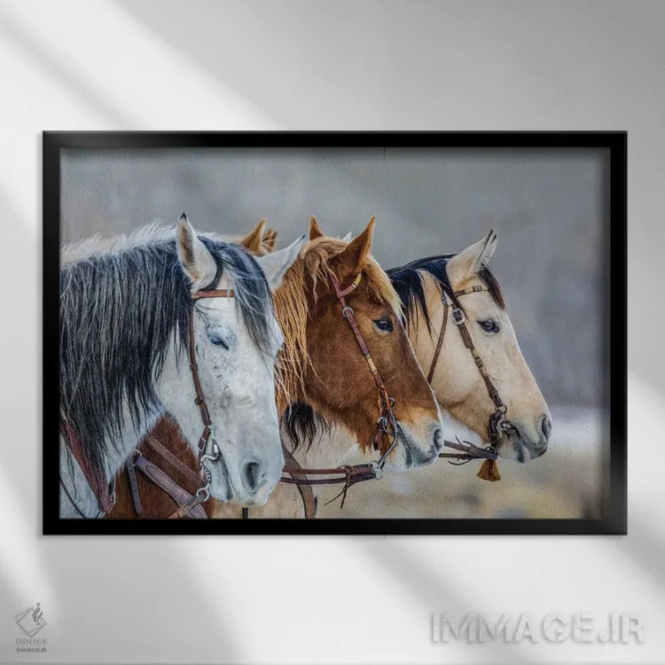 تابلو دکوراتیو Wyoming Hideout Horse Ranch, Horses In A Row,آمریکا، وایومین… اثر هولیس لونی - نمای قابدار مشکی