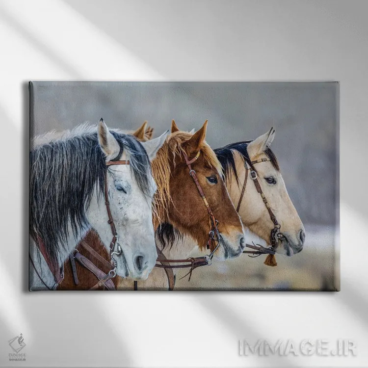 تابلو دکوراتیو Wyoming Hideout Horse Ranch, Horses In A Row,آمریکا، وایومین… اثر هولیس لونی - نمای روبهرو روی دیوار