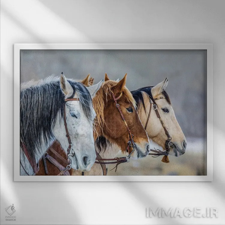 تابلو دکوراتیو Wyoming Hideout Horse Ranch, Horses In A Row,آمریکا، وایومین… اثر هولیس لونی - نمای قابدار سفید