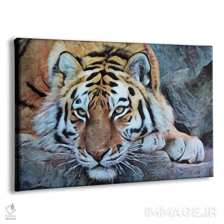 تابلو دکوراتیو ببری بسیار آرام اثر اشلی آلدرج - نمای پرسپکتیو محصول