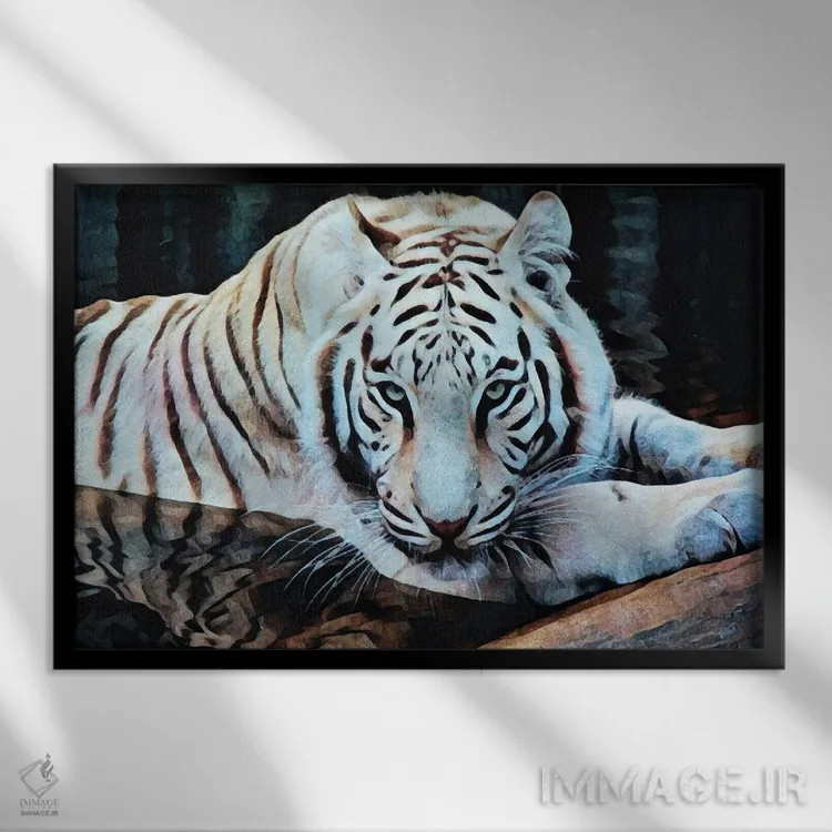 تابلو دکوراتیو ببر سفید در تالاب آبی اثر اشلی آلدرج - نمای قابدار مشکی
