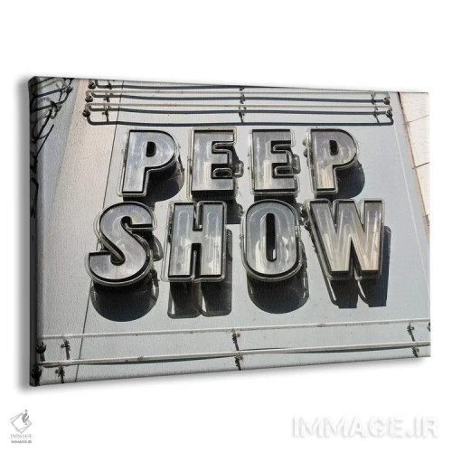 تابلو دکوراتیو نمایش پنهانی اثر هانی مون هتل - نمای پرسپکتیو محصول