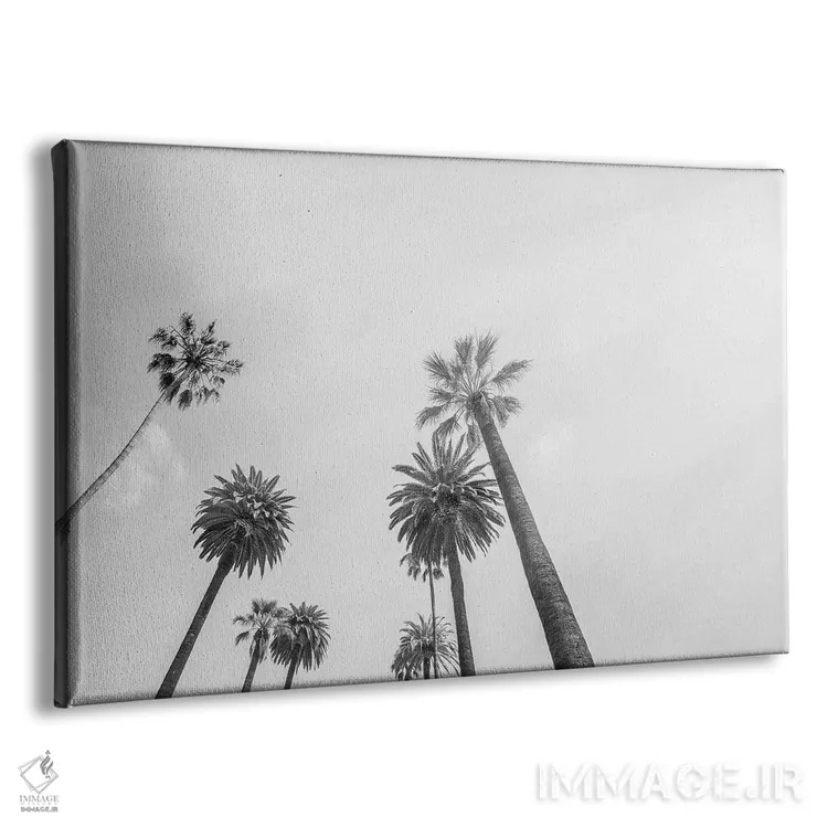 تابلو دکوراتیو ۸ نخل اثر هانی مون هتل - نمای پرسپکتیو محصول