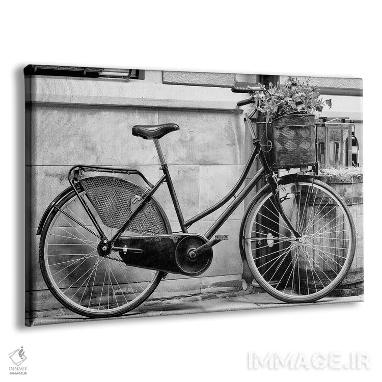 تابلو دکوراتیو دوچرخه ام را رکاب زدم اثر هانی مون هتل - نمای پرسپکتیو محصول