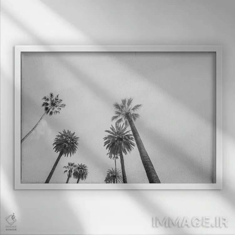 تابلو دکوراتیو ۸ نخل اثر هانی مون هتل - نمای قابدار سفید