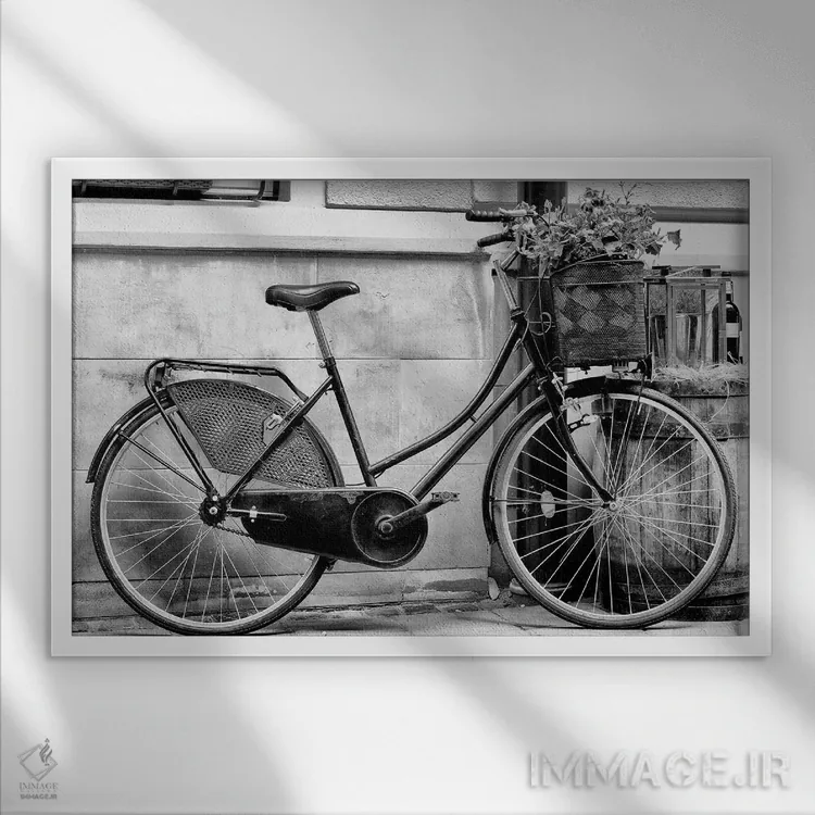 تابلو دکوراتیو دوچرخه ام را رکاب زدم اثر هانی مون هتل - نمای قابدار سفید
