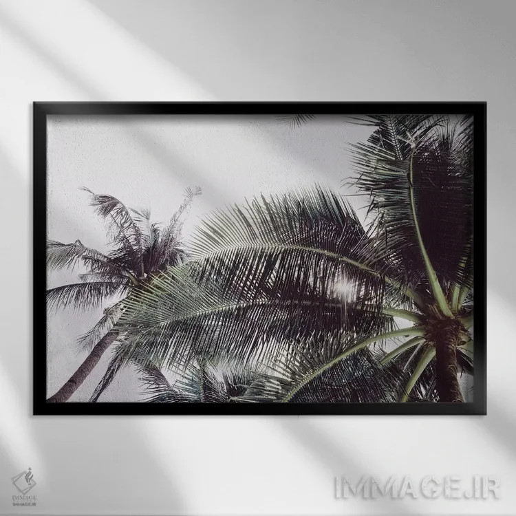 تابلو دکوراتیو لس آنجلس اثر هانی مون هتل - نمای قابدار مشکی