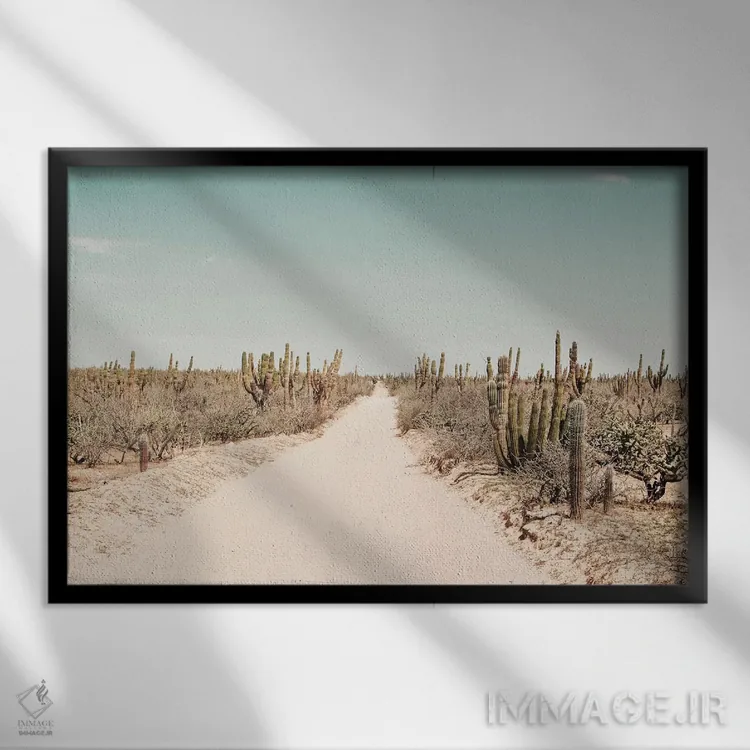 تابلو دکوراتیو غبار اثر هانی مون هتل - نمای قابدار مشکی