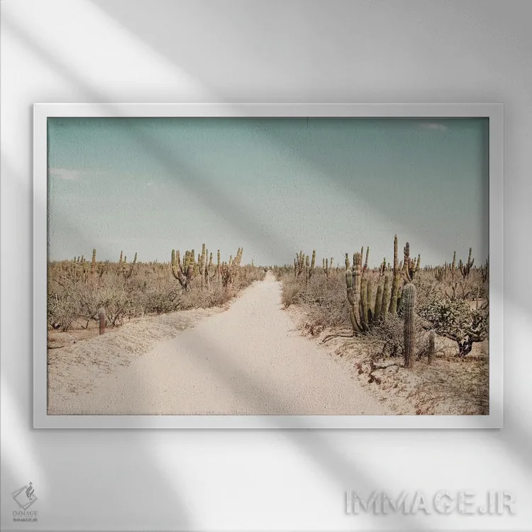 تابلو دکوراتیو غبار اثر هانی مون هتل - نمای قابدار سفید