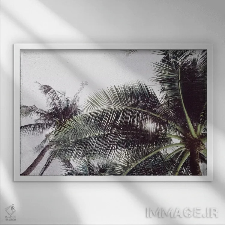 تابلو دکوراتیو لس آنجلس اثر هانی مون هتل - نمای قابدار سفید