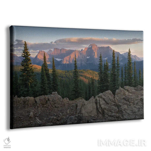 تابلو دکوراتیو روزانه اثر هانتر پیج - نمای پرسپکتیو محصول