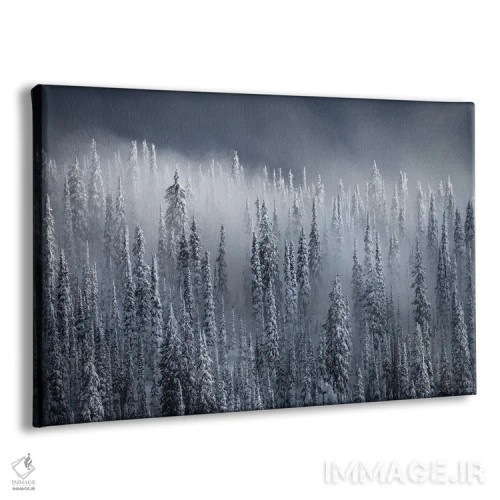 تابلو دکوراتیو دود و آینه اثر هانتر پیج - نمای پرسپکتیو محصول