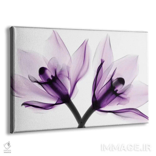 تابلو دکوراتیو ارکیده ها یک اثر هونگ فام - نمای پرسپکتیو محصول