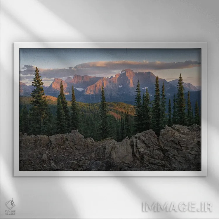 تابلو دکوراتیو روزانه اثر هانتر پیج - نمای قابدار سفید