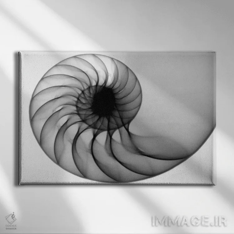 تابلو دکوراتیو ناتیلوس اثر هونگ فام - نمای روبهرو روی دیوار