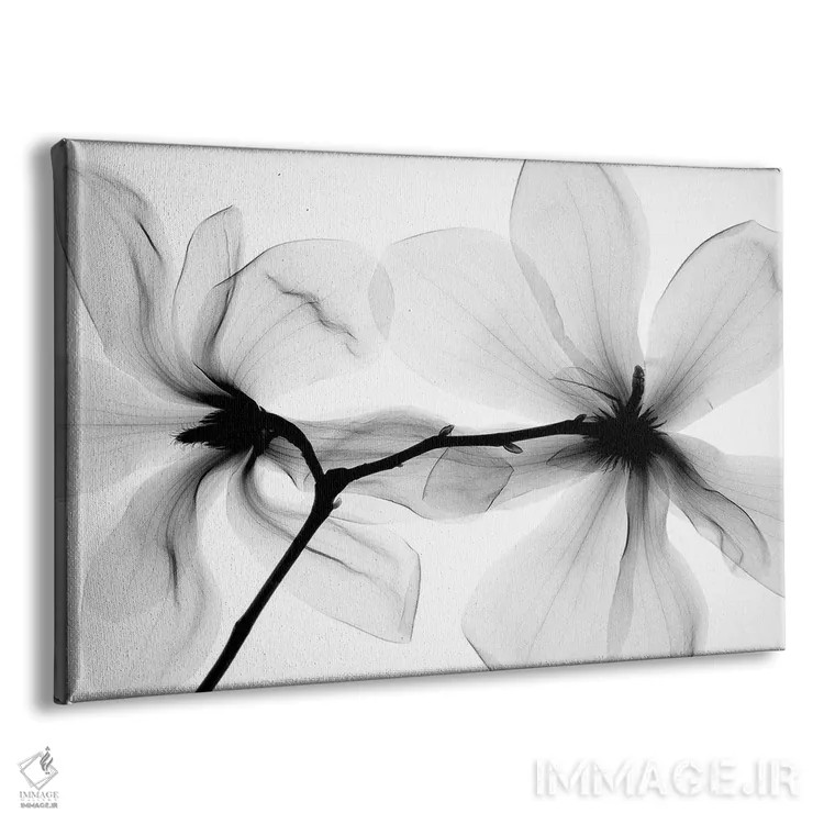 تابلو دکوراتیو ماگنولیا یک اثر هونگ فام - نمای پرسپکتیو محصول