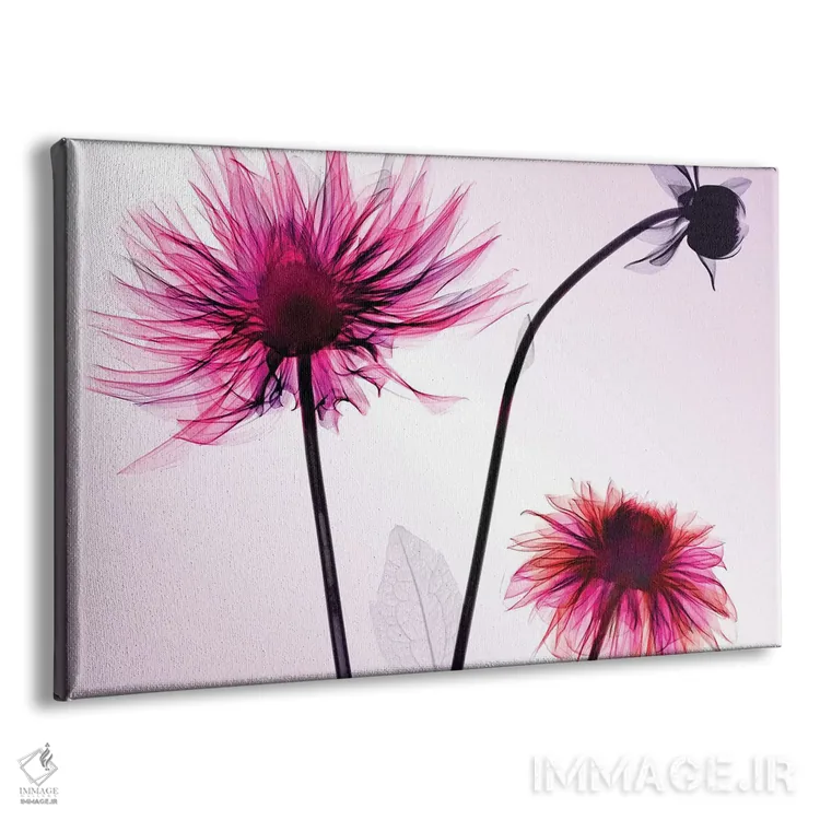 تابلو دکوراتیو سه گل کوکب اثر هونگ فام - نمای پرسپکتیو محصول