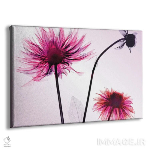 تابلو دکوراتیو سه گل کوکب اثر هونگ فام - نمای پرسپکتیو محصول