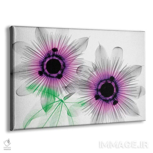 تابلو دکوراتیو گل های ساعتی اثر هونگ فام - نمای پرسپکتیو محصول