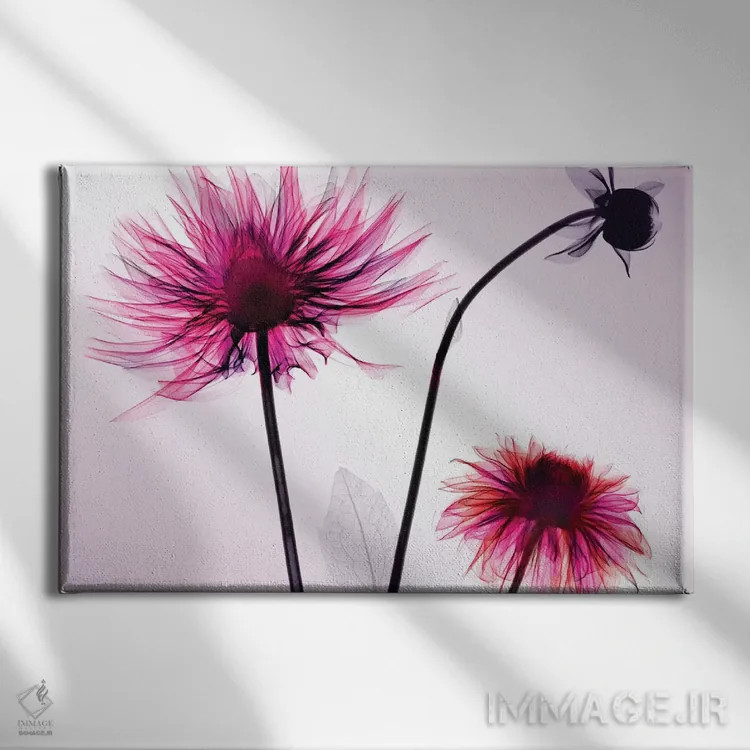 تابلو دکوراتیو سه گل کوکب اثر هونگ فام - نمای روبهرو روی دیوار