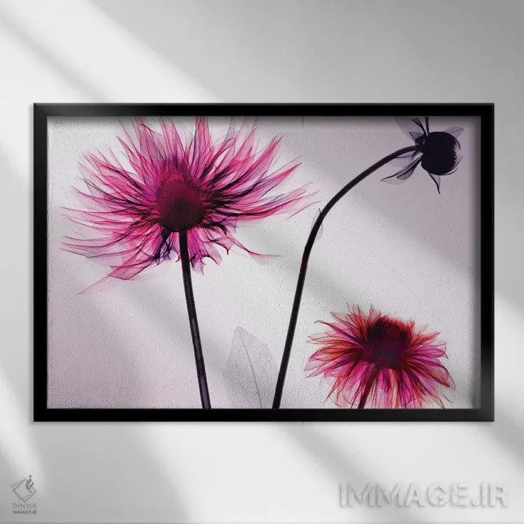 تابلو دکوراتیو سه گل کوکب اثر هونگ فام - نمای قابدار مشکی