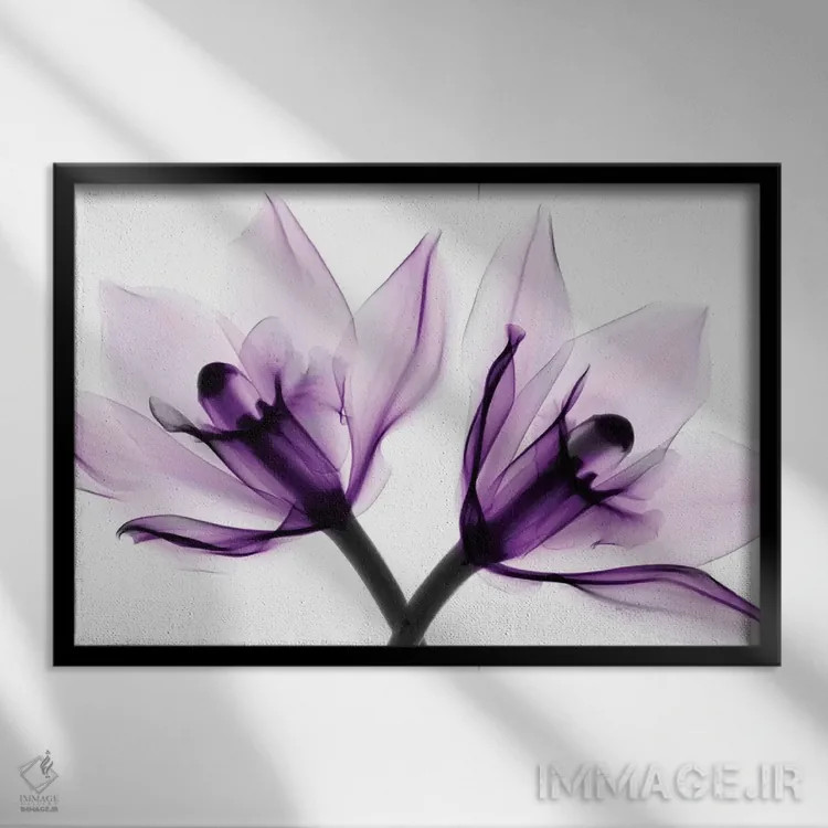 تابلو دکوراتیو ارکیده ها یک اثر هونگ فام - نمای قابدار مشکی