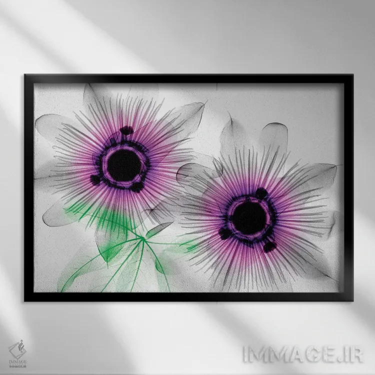 تابلو دکوراتیو گل های ساعتی اثر هونگ فام - نمای قابدار مشکی