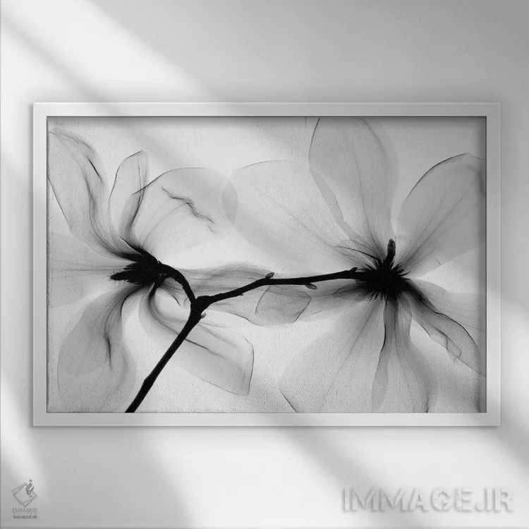 تابلو دکوراتیو ماگنولیا یک اثر هونگ فام - نمای قابدار سفید