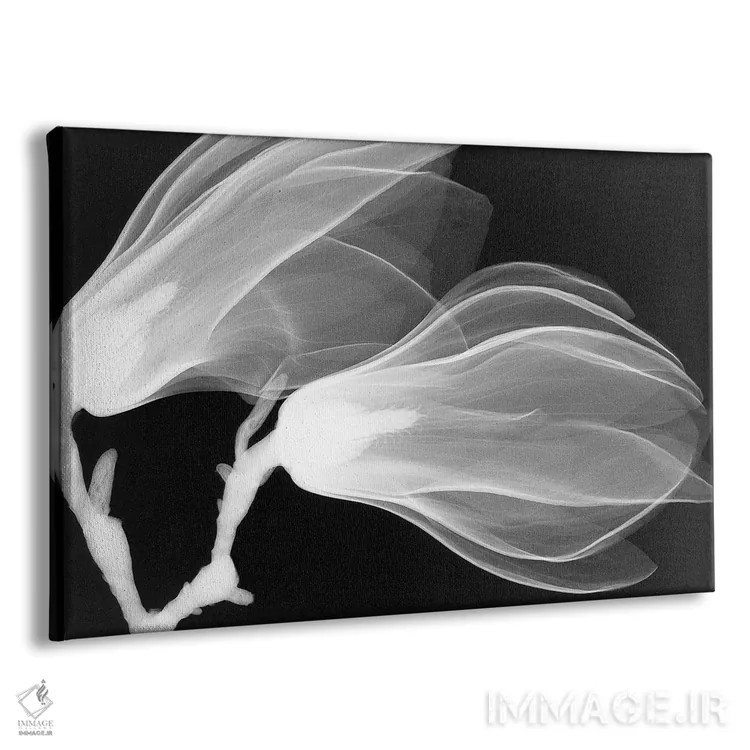 تابلو دکوراتیو ماگنولیا سه اثر هونگ فام - نمای پرسپکتیو محصول