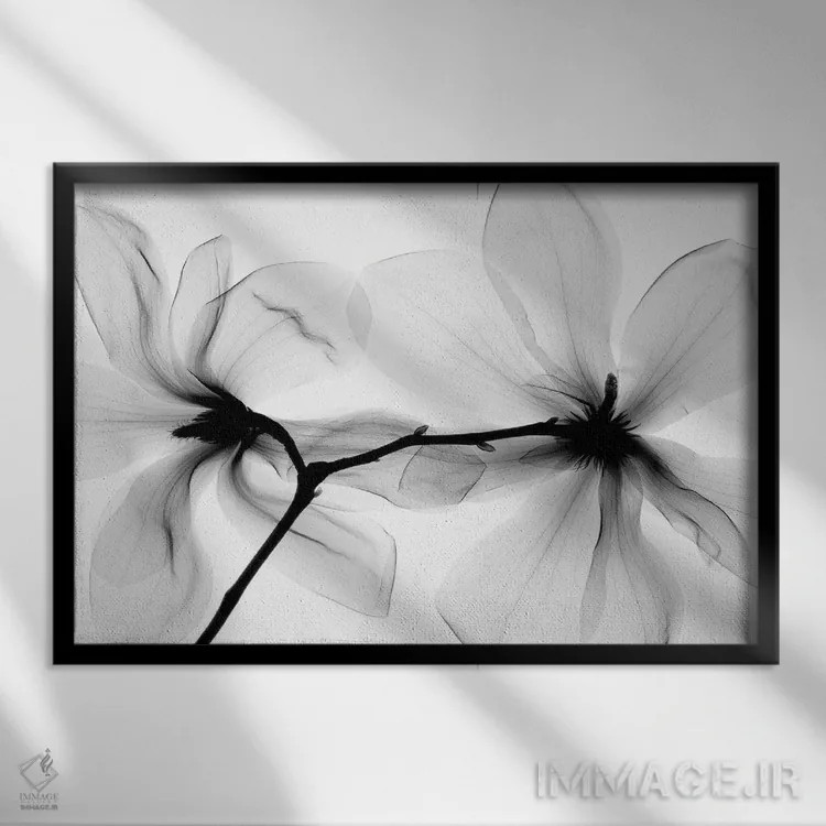 تابلو دکوراتیو ماگنولیا یک اثر هونگ فام - نمای قابدار مشکی